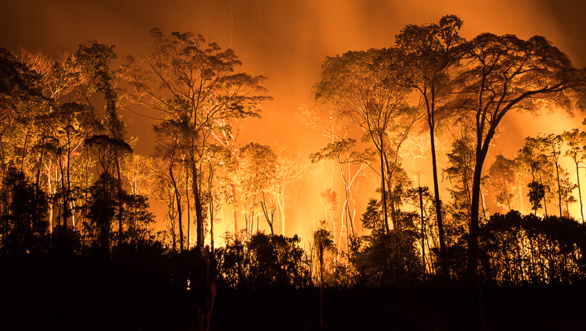 Esquerda é criticada por politizar incêndio na UFPE e silenciar sobre queimadas na Amazônia