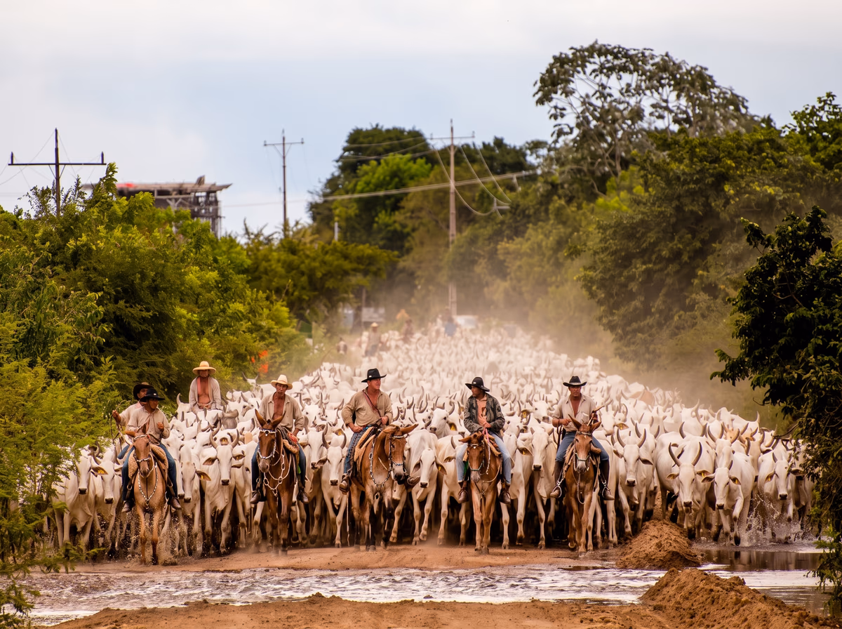 Pantanal: uma cultura que resiste ao tempo